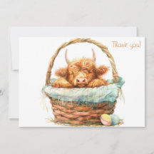 Gemütliche Hochlandkuh in einem Korb