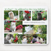 Gemütliche Kätzchen-Mausunterlage Mousepad (Vorne)