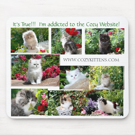 Gemütliche Kätzchen-Mausunterlage Mousepad (Vorne)