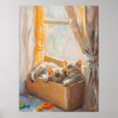 Gemütliche Kätzchen Schlafen im Sonnenlicht - Impr Poster (Vorne)