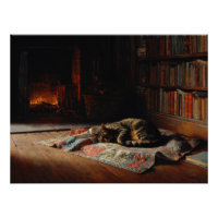 Gemütliche Katze am Kamin Bibliothek Szene
