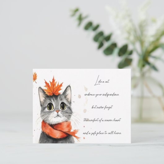 Gemütliche Katze im Scaro Postkarte (Stehend Vorderseite)