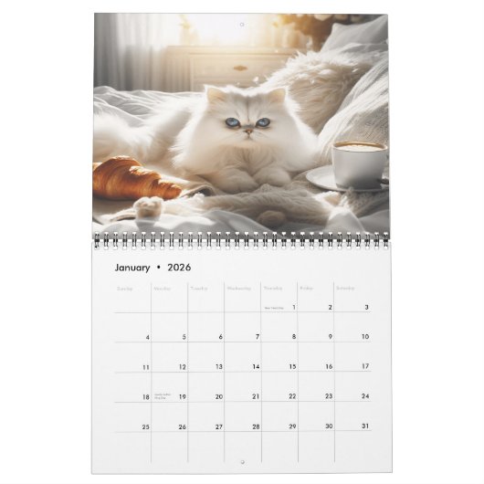 Gemütliche persische Katzen durch die Jahreszeit 2 Kalender (Jan 2026)