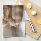 Gemütliche rote Katze sonnt sich im Nickerchen Geschirrtuch (Viertel Falte)