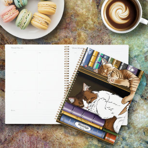 Gemütliche Schlafende Katzen Bücherregal Illustrat Planer