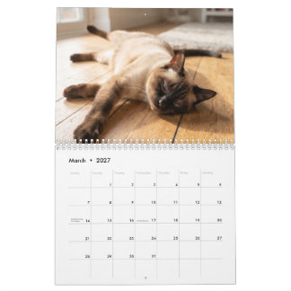 Gemütliche schlafende Katzen | Süßer Katzenfoto-Ka Kalender