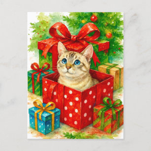 Gemütliche Überraschung Katze Weihnachten Postkart
