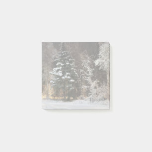 Gemütliche Winterwald-Nachtszene Post-it Klebezettel