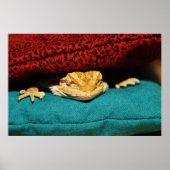 Gemütlicher Bartdrache Poster (Vorne)