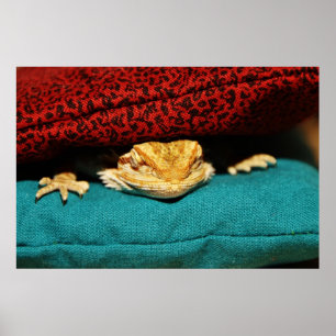 Gemütlicher Bartdrache Poster