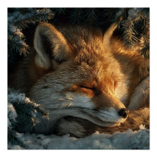 Gemütlicher Fuchs im Schnee Poster