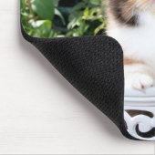 Gemütlicher Kätzchen-Kaliko-persische Kätzchen Mousepad (Ecke)