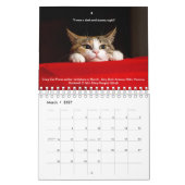 Gemütlicher Katzenkalender 2019 Kalender (Mär 2027)