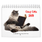 Gemütlicher Katzenkalender 2019 Kalender (Titelbild)