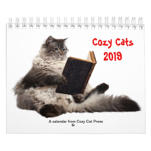 Gemütlicher Katzenkalender 2019 Kalender (Titelbild)