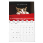 Gemütlicher Katzenkalender 2019 Kalender (Mär 2026)