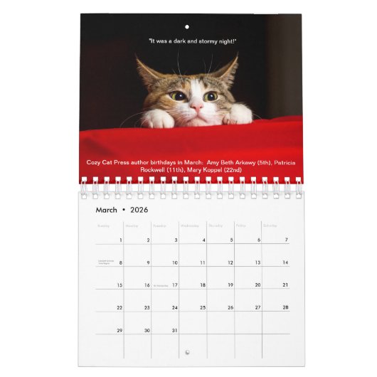Gemütlicher Katzenkalender 2019 Kalender (Mär 2026)