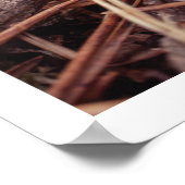 Gemütlicher Kiefernkegel Herbstmauerwerk Poster (Ecke)