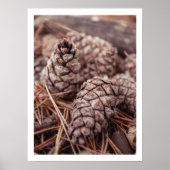 Gemütlicher Kiefernkegel Herbstmauerwerk Poster (Vorne)