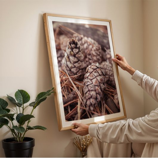 Gemütlicher Kiefernkegel Herbstmauerwerk Poster