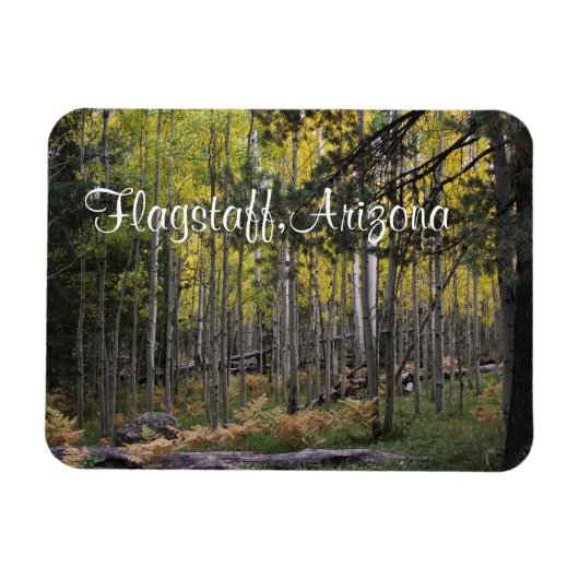 Gemütlicher Ort in Flagstaff Magnet (Horizontal)