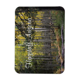 Gemütlicher Ort in Flagstaff Magnet