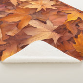 Gemütlicher Säugling-Sherpa-Thread mit benutzerdef Sherpadecke (3/4)