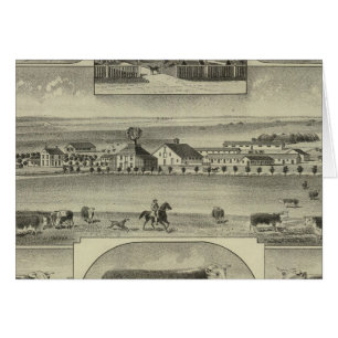 Gemütlicher Zuchtbetrieb, Kolonie, Kansas