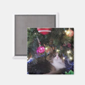 Gemütliches Cat unter Weihnachten Magnet (Vorderseite/Rückseite)