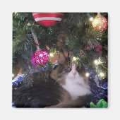 Gemütliches Cat unter Weihnachten Magnet (Vorne)