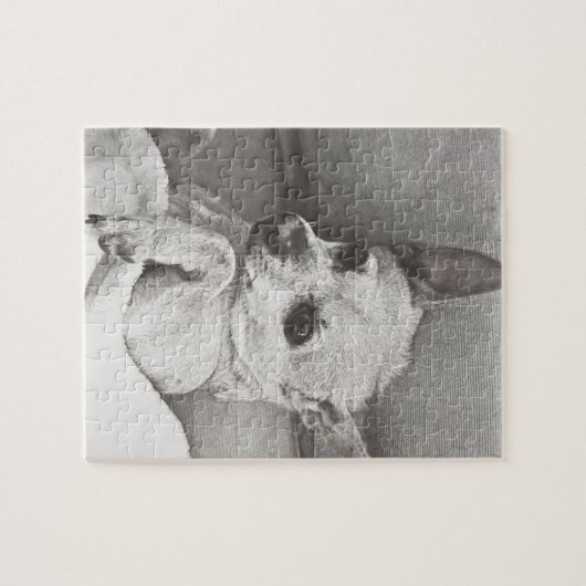 Gemütliches Chihuahua-Puzzlespiel Puzzle (Horizontal)