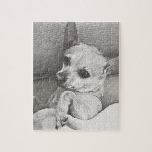 Gemütliches Chihuahua-Puzzlespiel Puzzle