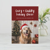 Gemütliches Foto für Burgundy Haustiere Feiertagskarte (Stehend Vorderseite)