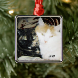 Gemütliches Foto mit Jahr Ornament Aus Metall
