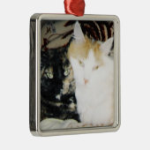 Gemütliches Foto von zwei Katzenjacke Ornament Aus Metall (Rechts)