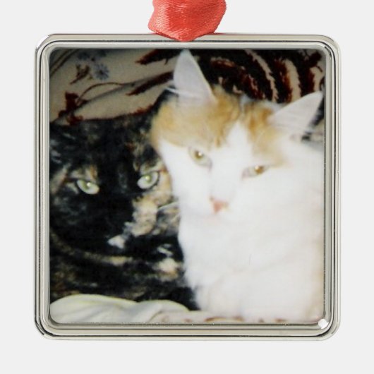 Gemütliches Foto von zwei Katzenjacke Ornament Aus Metall (Vorne)