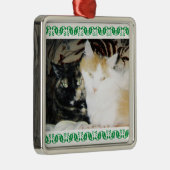 Gemütliches Foto Zwei Katzen Grüne, heilige Grenze Ornament Aus Metall (Rechts)