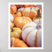 Gemütliches Kürbisfall Foto warme Bauernhaus Dekor Poster (Vorne)