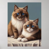 Gemütliches Paar Ragdoll Katzen Fluffy Haustier Ar Poster (Vorne)