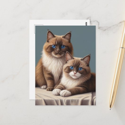 Gemütliches Paar Ragdoll Katzen Fluffy Haustier Ar Postkarte (Vorderseite/Rückseite Beispiel)