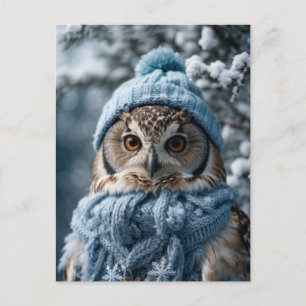 Gemütliches Whimsisches Winter Wonderland Owl Postkarte