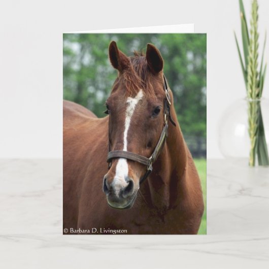 Genau so porträtiert karte (Vorderseite)