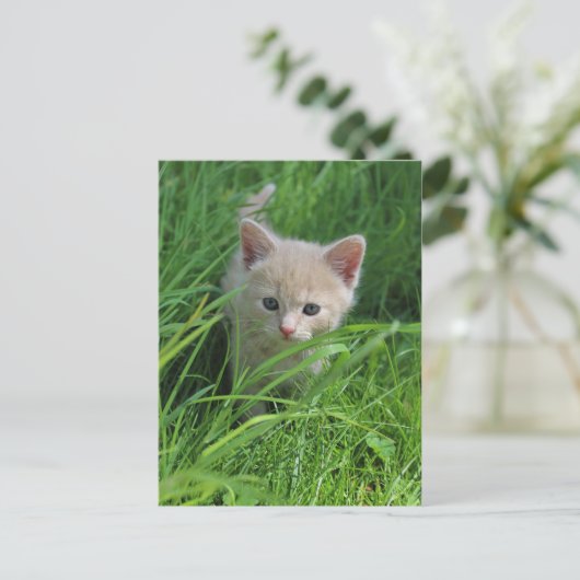 Genauigkeit Postkarte (Stehend Vorderseite)