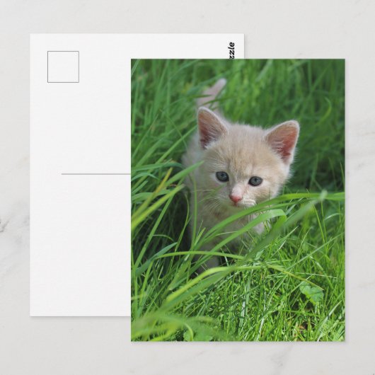 Genauigkeit Postkarte (Vorne/Hinten)