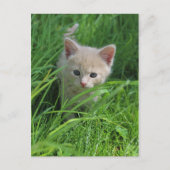 Genauigkeit Postkarte (Vorderseite)