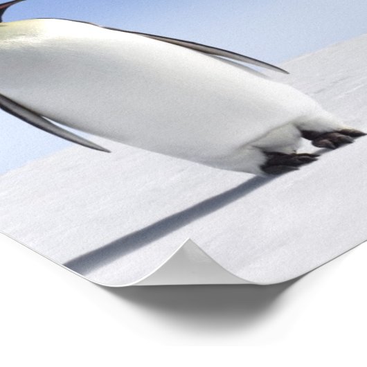 Genauso verwirrt. poster (Ecke)