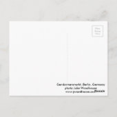 Gendarmenmarkt Berlin Postkarte (Rückseite)