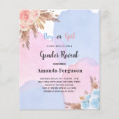 Gender offenbart Pampas Gras rosa blaues Budget Flyer (Vorne)