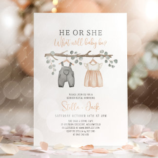 Gender Reveal He or She Clothesline Einladung