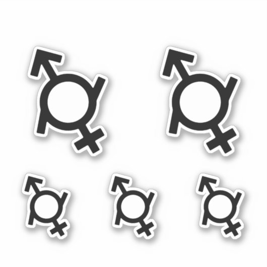 Genderfluid Gender Symbol Aufkleber (Vorderseite)